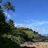 erica_rothwell